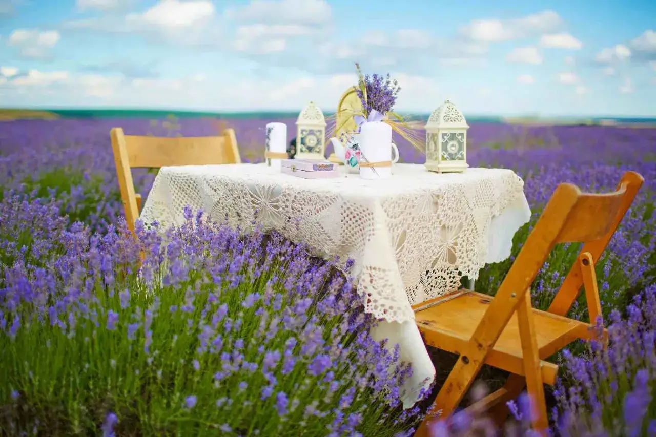 Tavolo apparecchiato con tovaglie all'uncinetto e lanterne, immerso in un campo di lavanda, evoca un'atmosfera di **stile provenzale francese**.