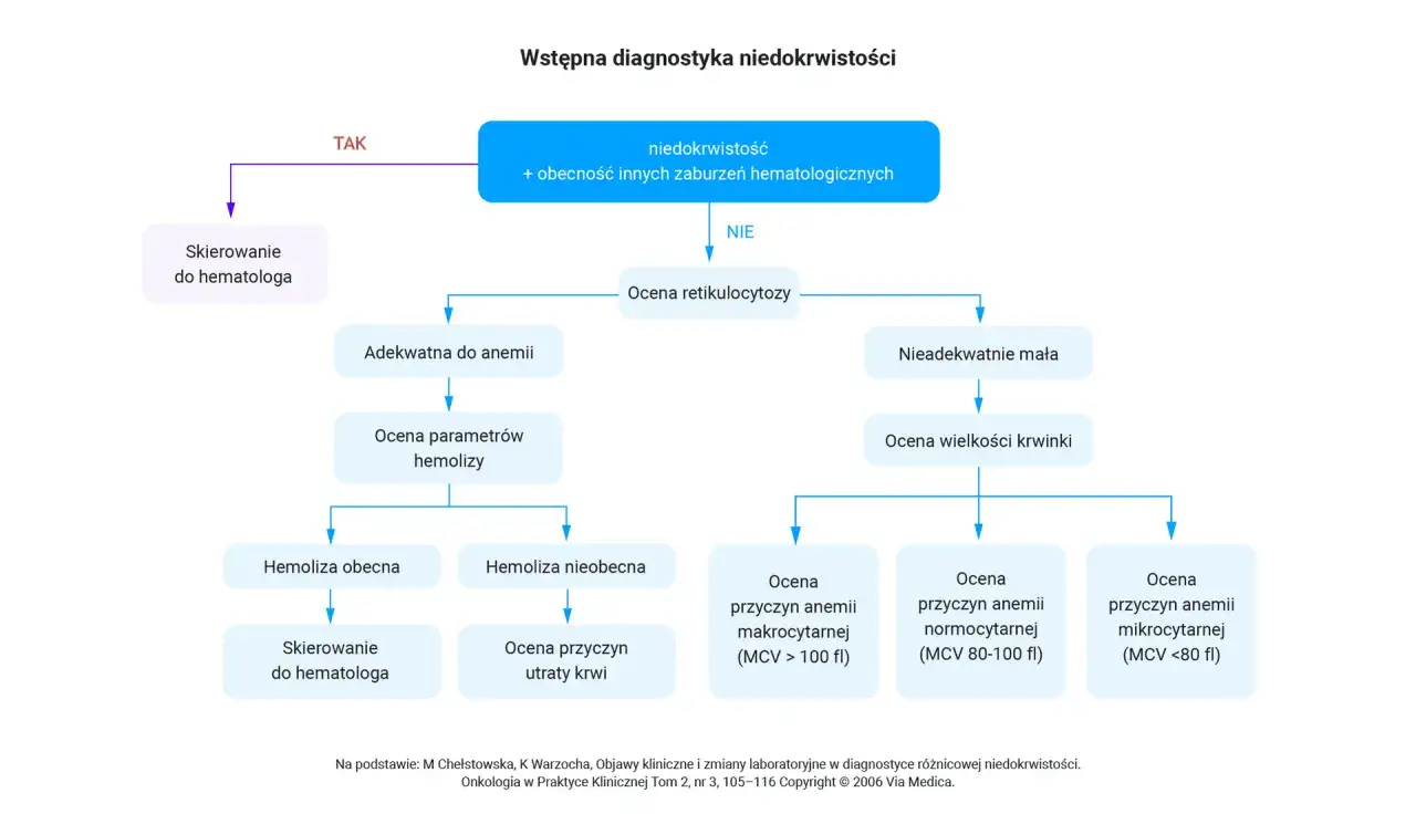 Rozmaz krwi obwodowej schemat