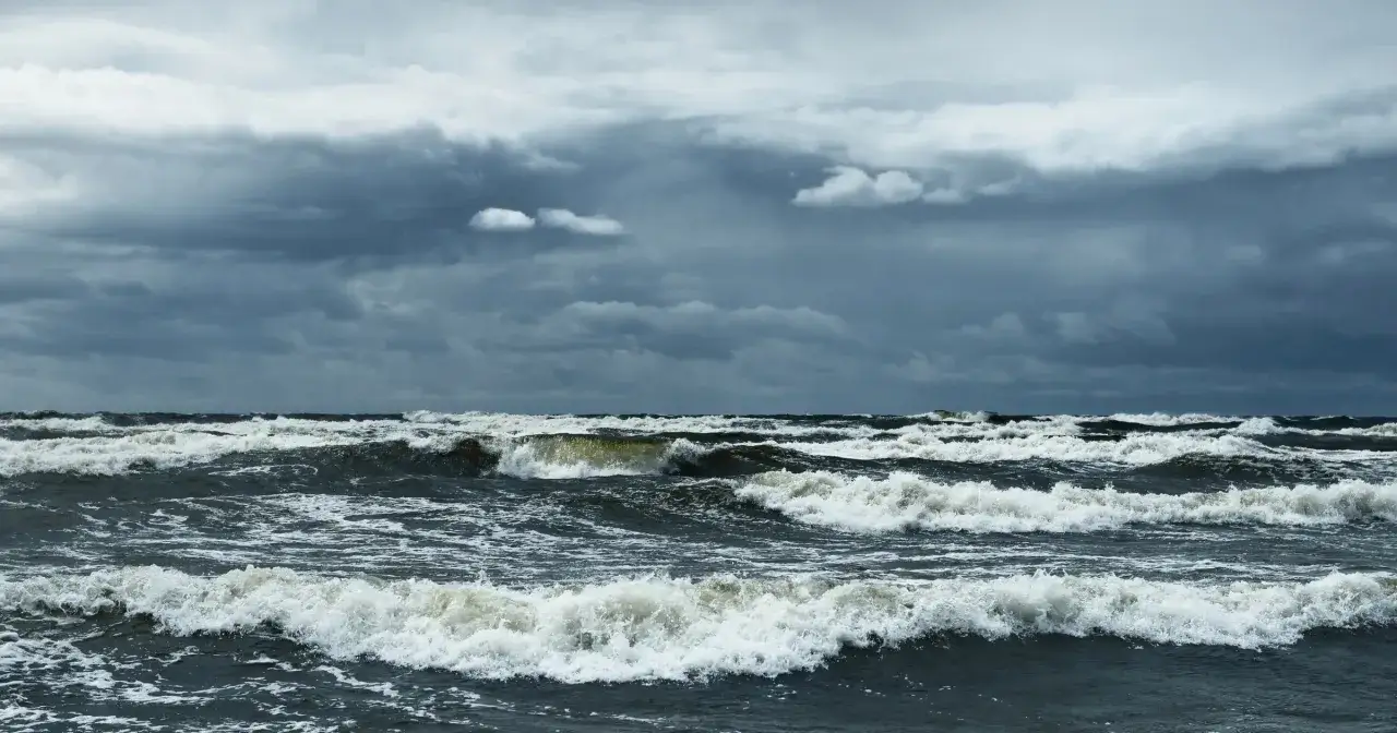 plaża bałtycka bez komarów