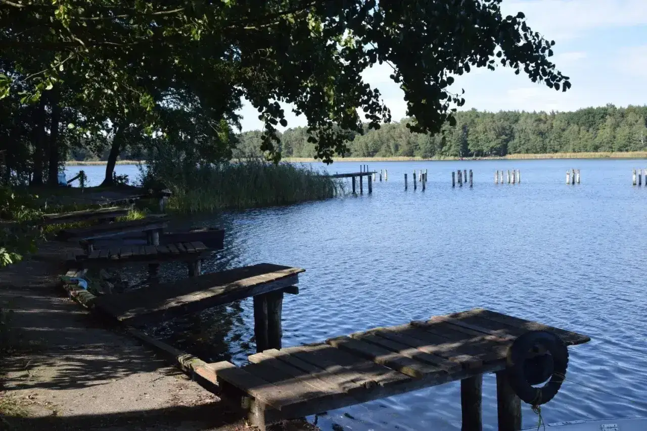 Drewniane pomosty nad spokojnym, błękitnym jeziorem Chrzypsko Wielkie. W oddali widoczne słupki i zalesiony brzeg.