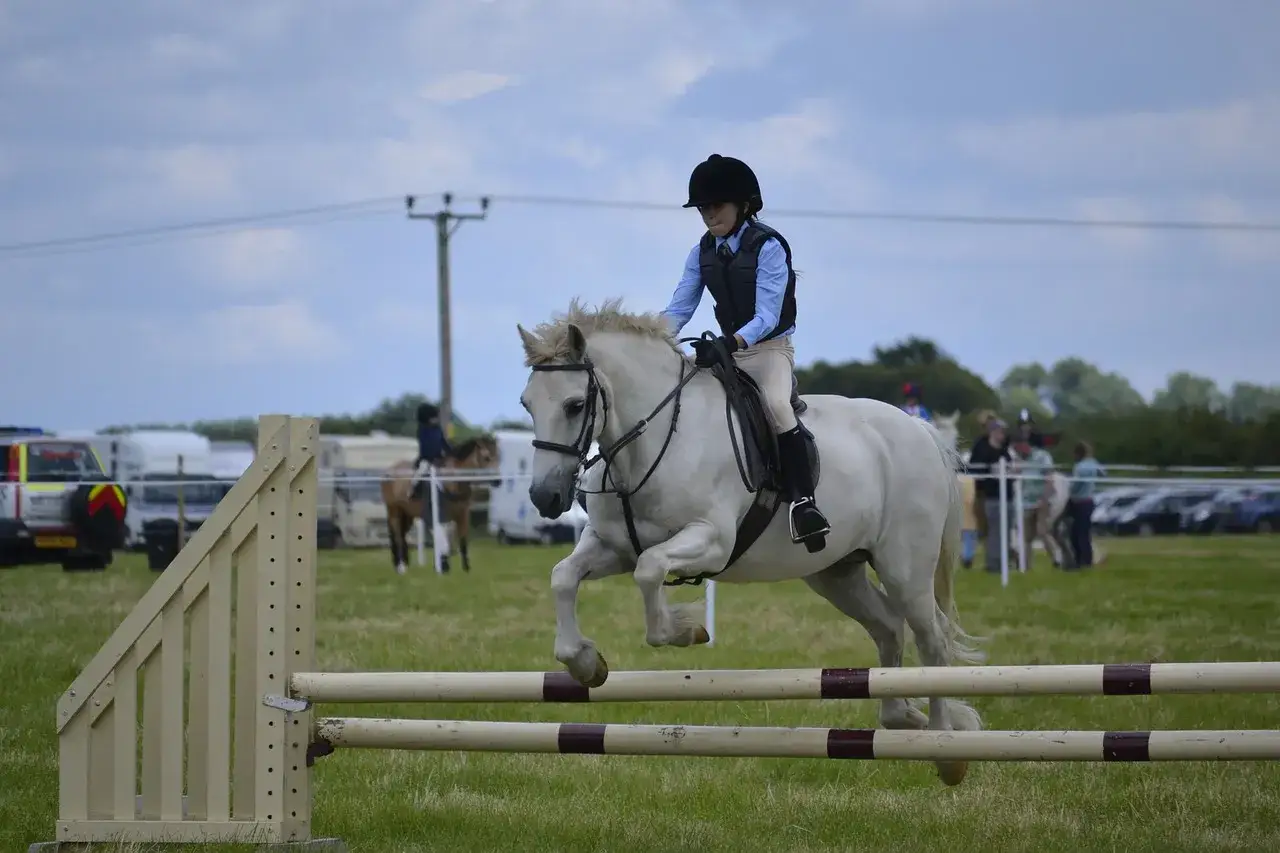 Jeune cavalière en plein effort, le cheval blanc en suspension, illustrant le mécanisme du saut.
