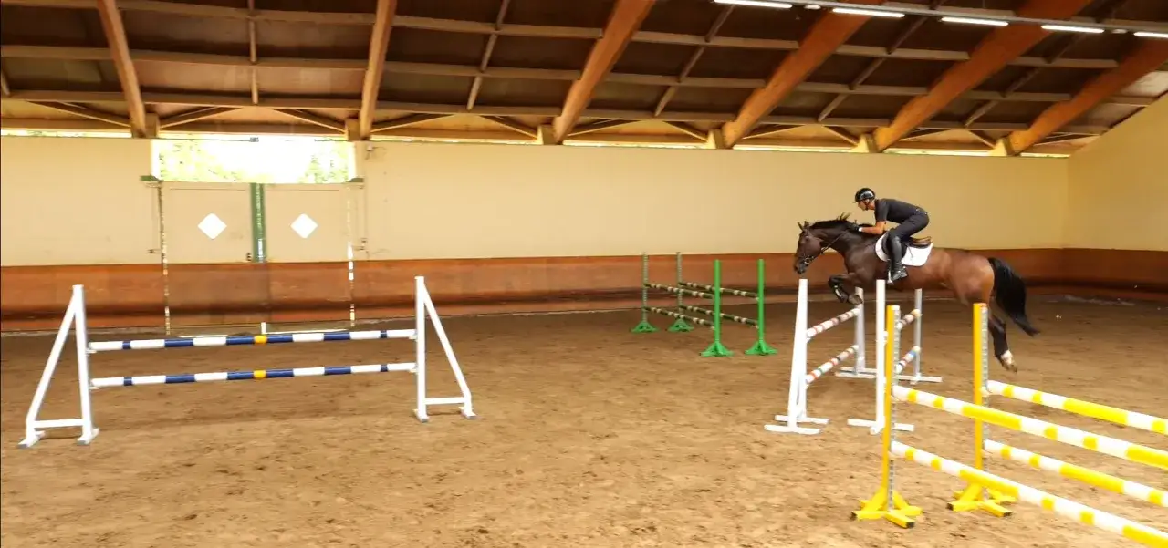 Un cavalier et son cheval s'entraînent à l'équitation de travail, sautant par-dessus des obstacles dans une carrière couverte.