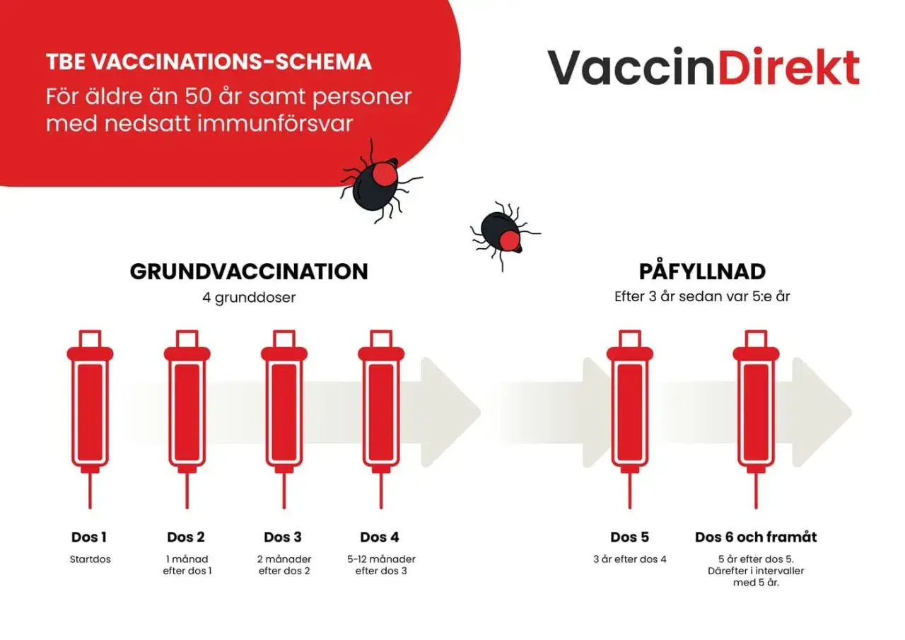 Schema för TBE-vaccination, inklusive grundvaccination och påfyllnadsdoser. Vaccin Direkt rekommenderar vaccin mot fästingburna sjukdomar.