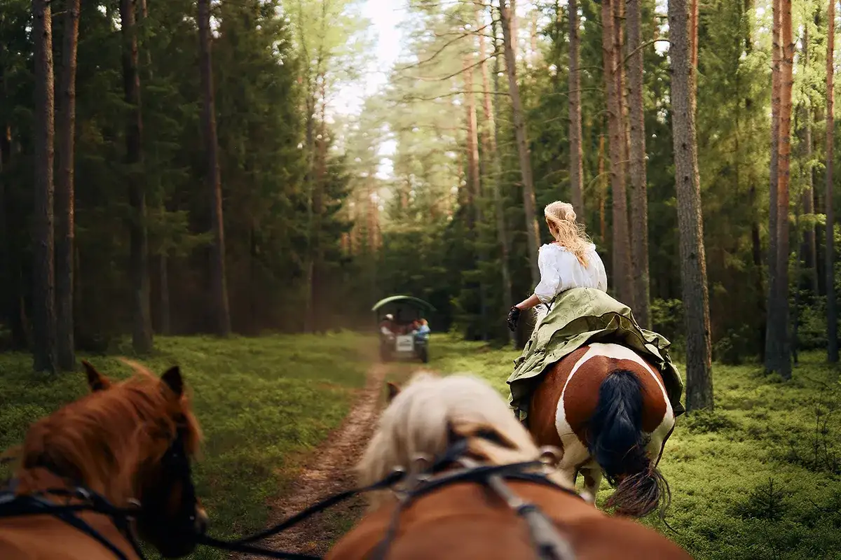 Jeździec i koń na tle polskiego krajobrazu, pasja jeździecka