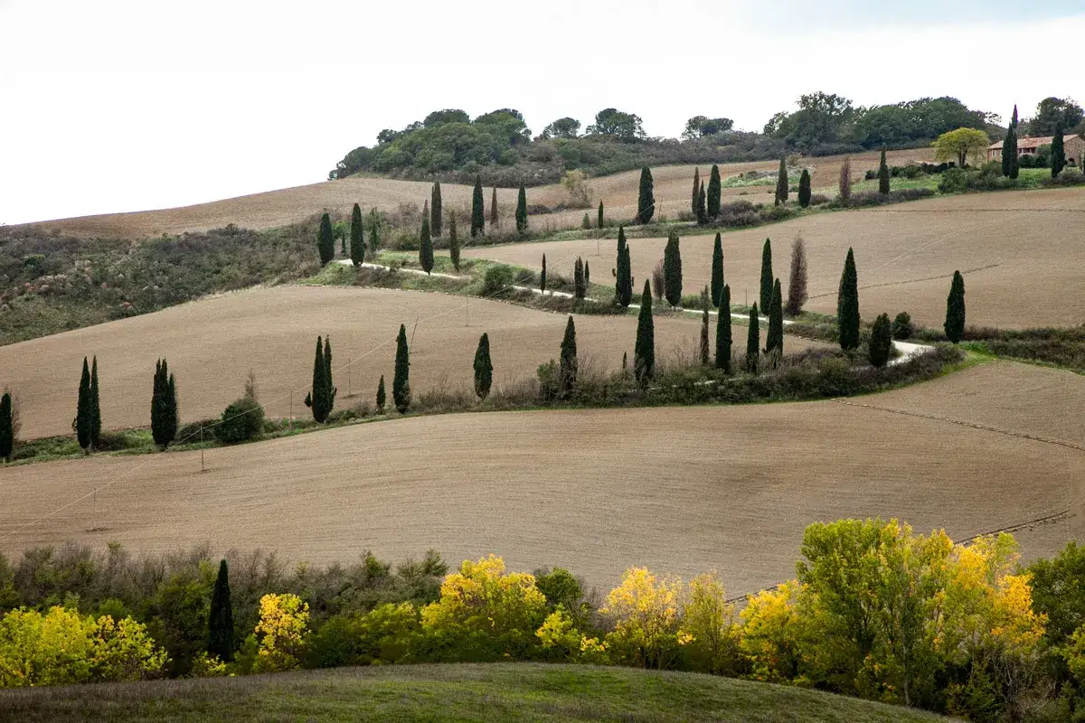 Colline ondulate e campi coltivati nel Val d'Orcia, con cipressi che segnano un sentiero sinuoso. Un paesaggio iconico da vedere.