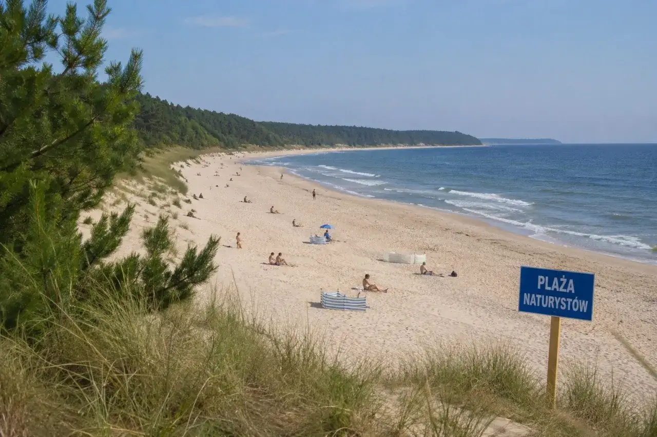Słoneczna plaża z wydmami i lasem sosnowym. Widać ludzi odpoczywających na piasku. Niebieski znak informuje: