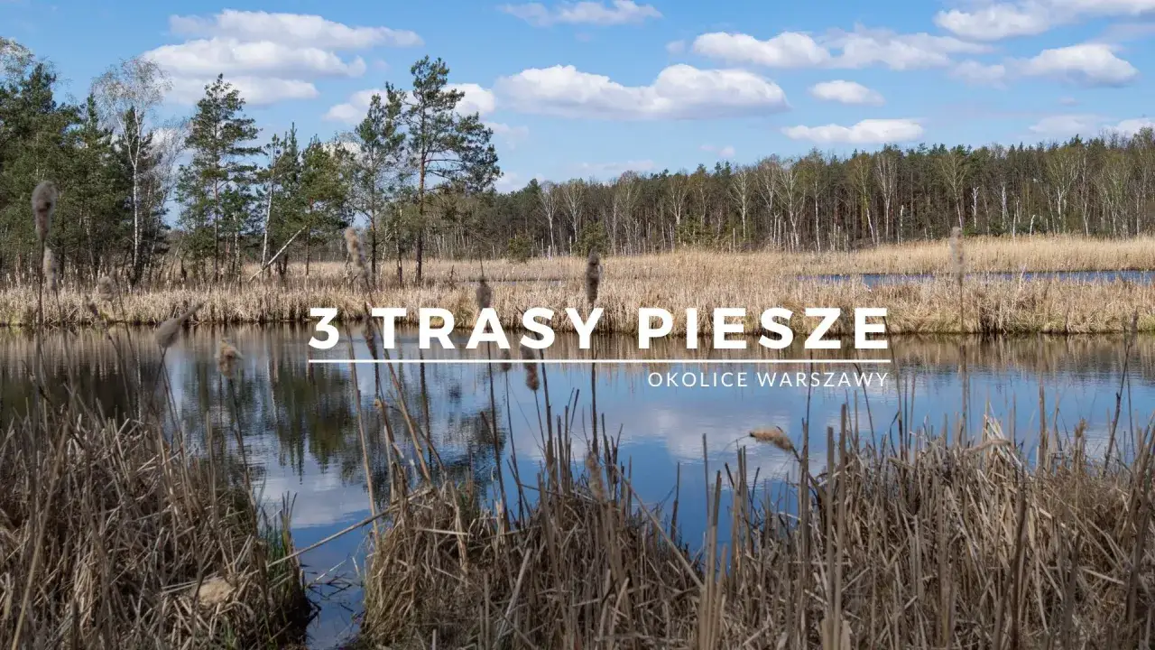 Trzy trasy piesze w okolicach Warszawy. Malowniczy krajobraz z jeziorem, trzcinami i lasem w tle.