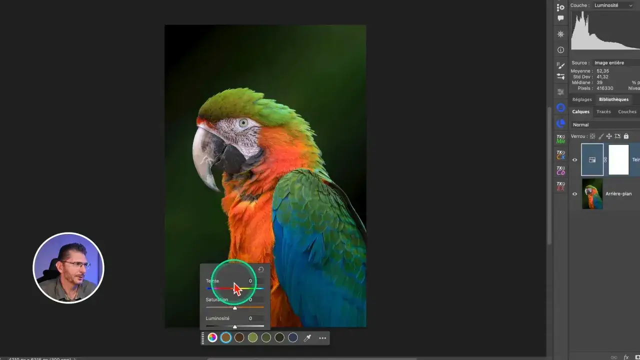 Un perroquet aux couleurs vives est ajust&eacute; dans un logiciel de retouche. Les curseurs de teinte, saturation et luminosit&eacute; sont visibles, permettant de modifier le tsl couleur de l'image.