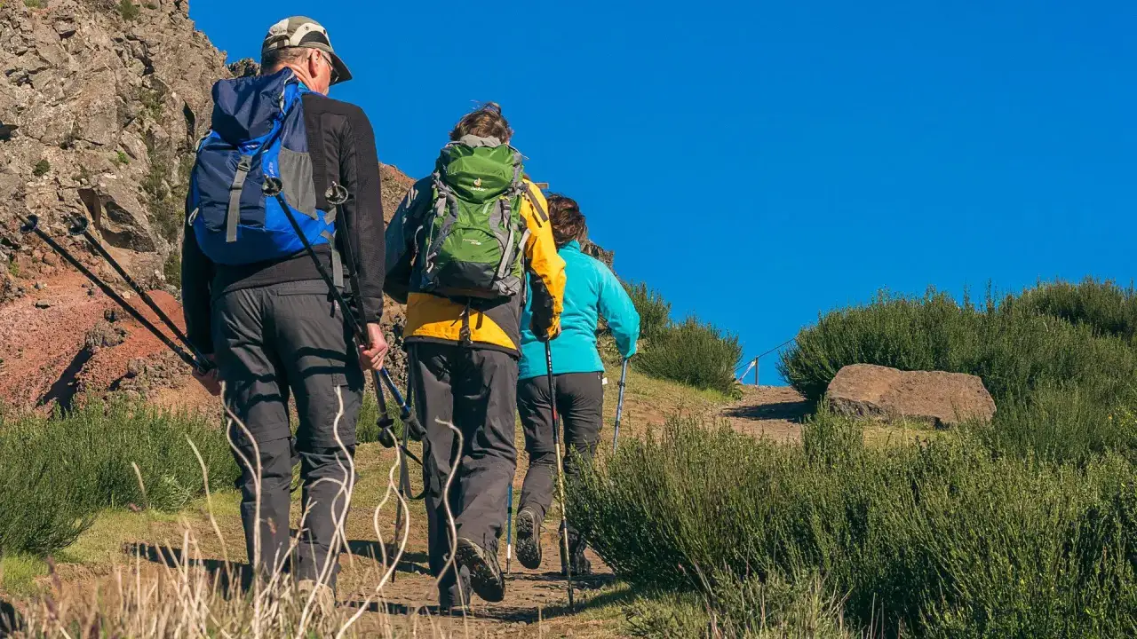 Trzy osoby z plecakami idą pod górę, używając kijków do nordic walking.