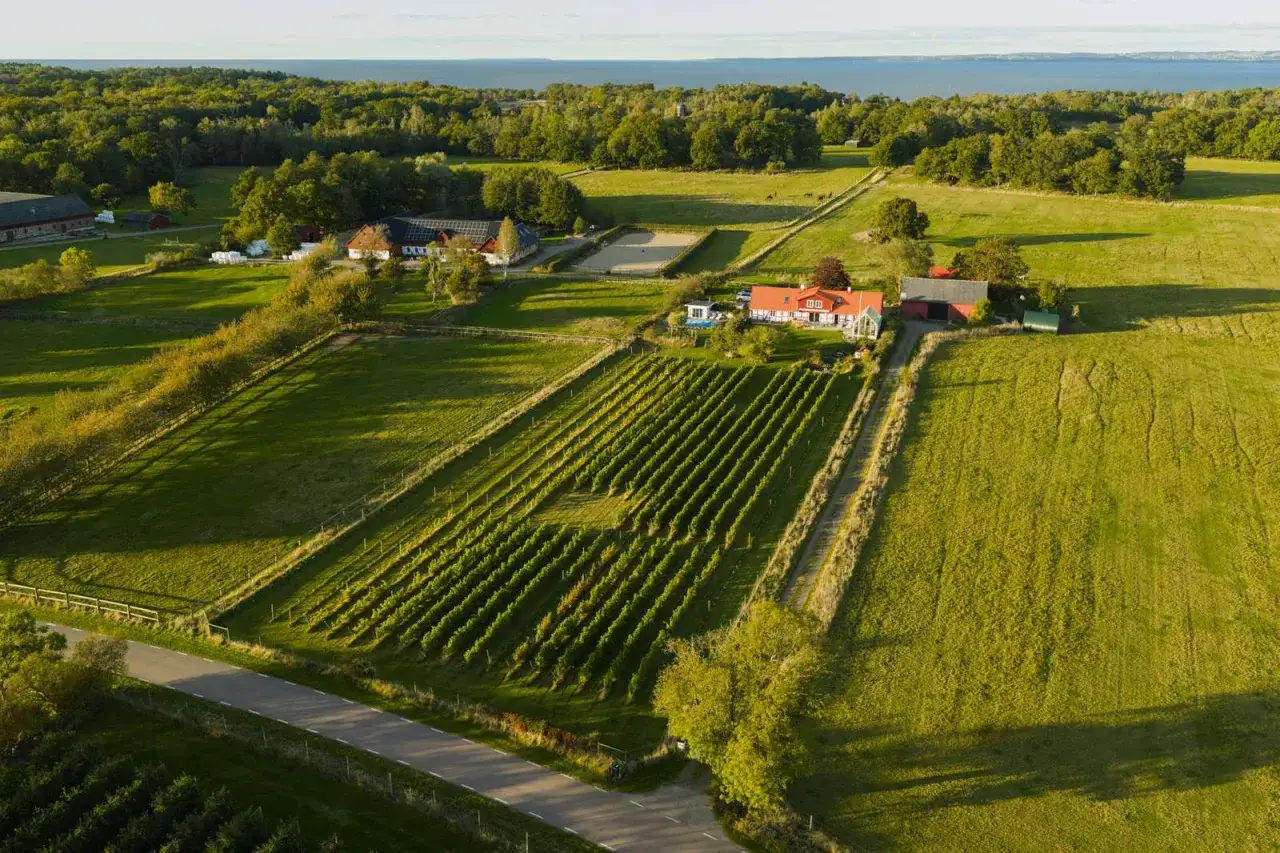 Ving&aring;rdar i Sk&aring;ne med r&ouml;da tak, gr&ouml;na f&auml;lt och en glittrande vattenyta i bakgrunden.