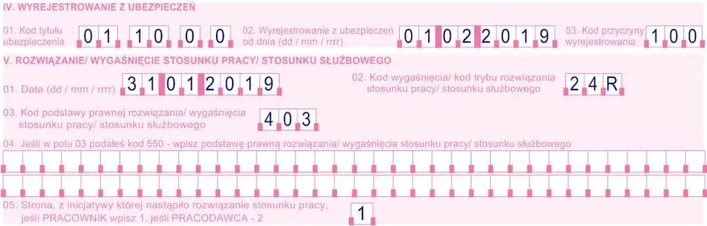 ZUS ZWUA formularz wypełnianie