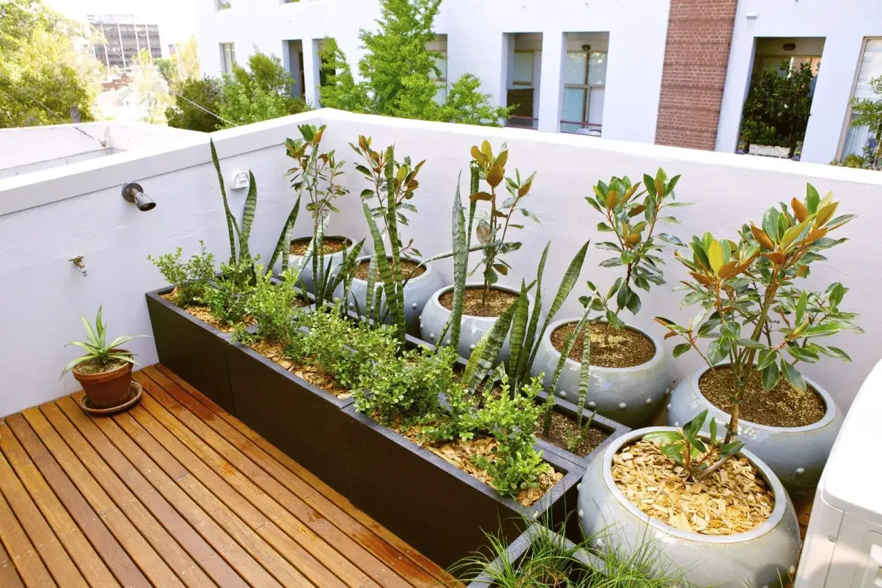 Eine dachterrasse gestalten mit Pflanzen: Grüne Oasen in modernen Pflanzgefäßen und Holzdielen schaffen eine entspannte Atmosphäre.