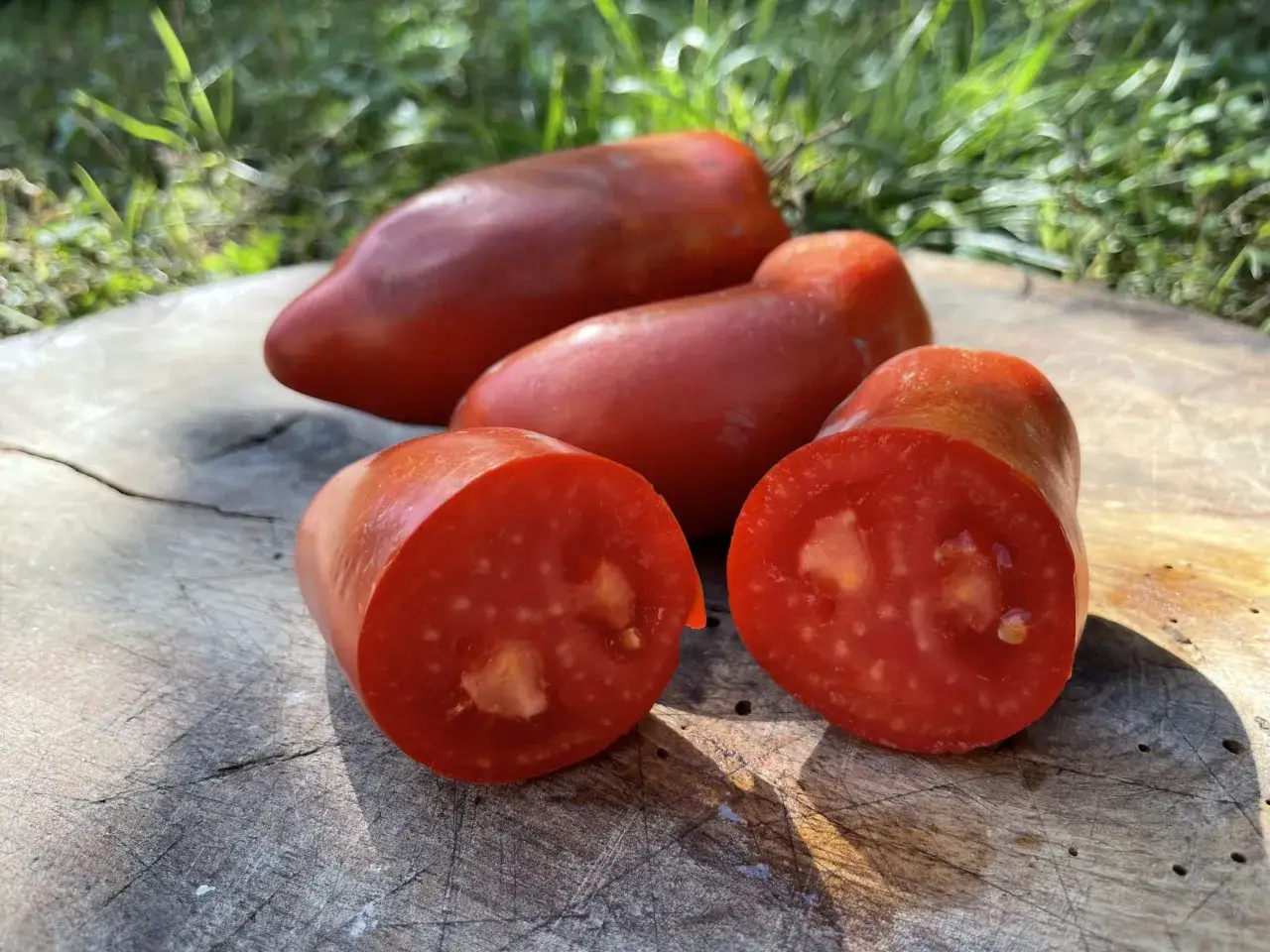 Tomates cornues des Andes, rouges et charnues, coupées en deux sur une planche en bois.