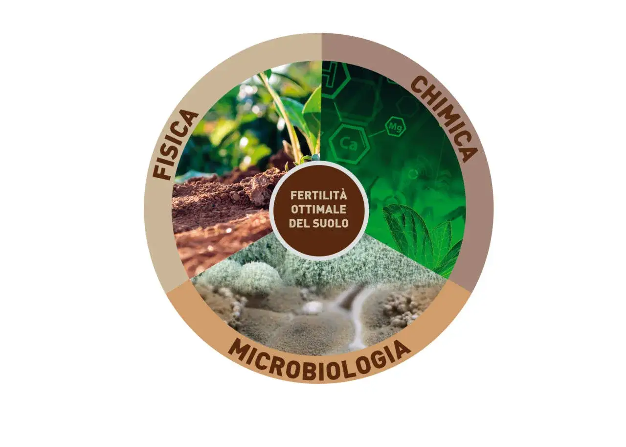 Il **biotico significato** del suolo &egrave; rappresentato da tre settori: fisica, chimica e microbiologia, che insieme creano fertilit&agrave; ottimale.
