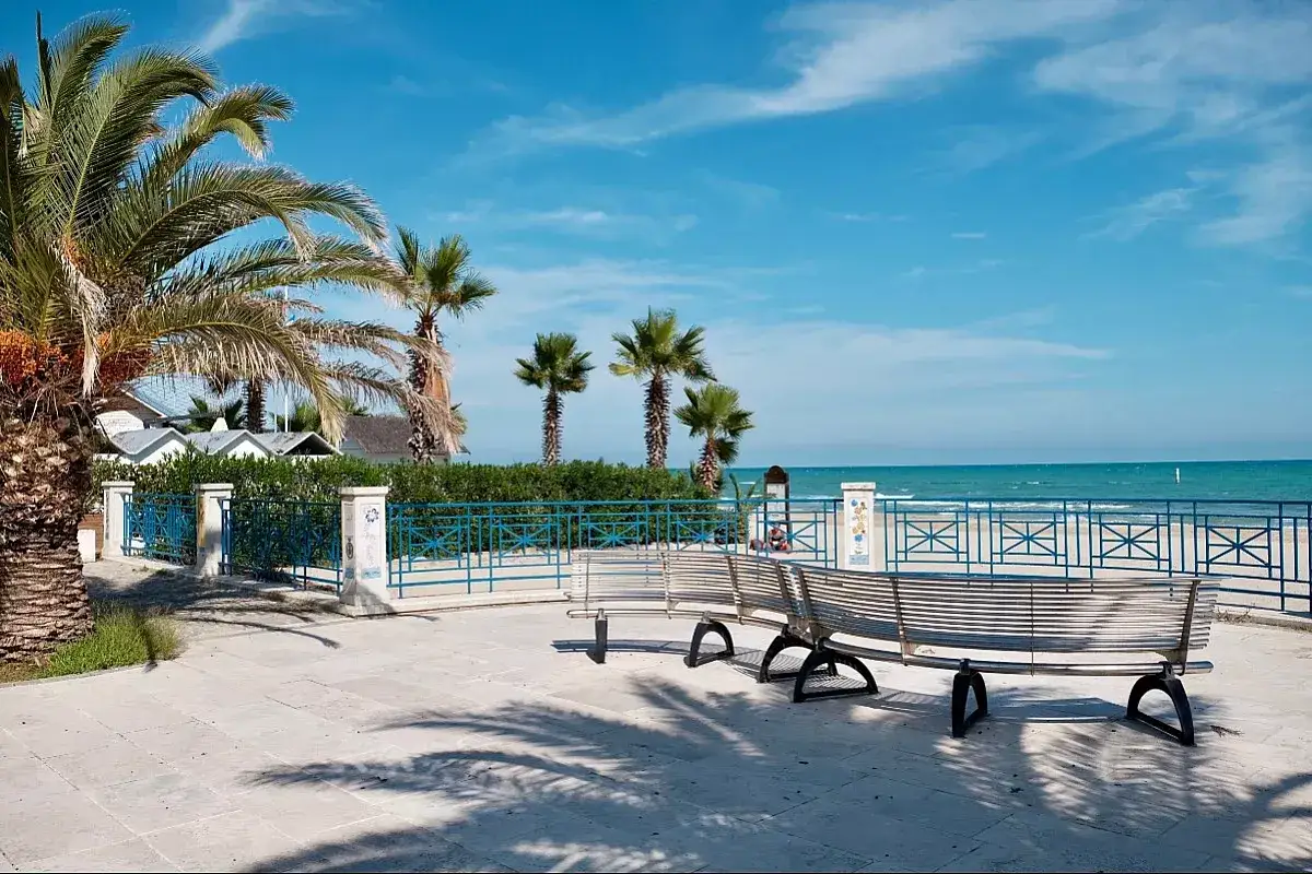 Passeggiata con panchine e palme sulla riviera delle palme San Benedetto del Tronto, con il mare azzurro sullo sfondo.