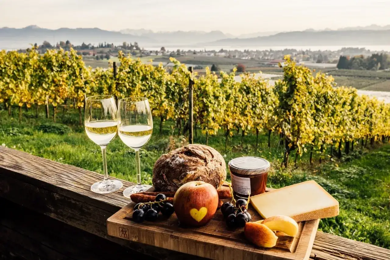 Genuss im Herbst: Wein, Brot, K&auml;se und Trauben vor einer Weinrebe. Die goldgelben Bl&auml;tter deuten an, wann ist weinlese.