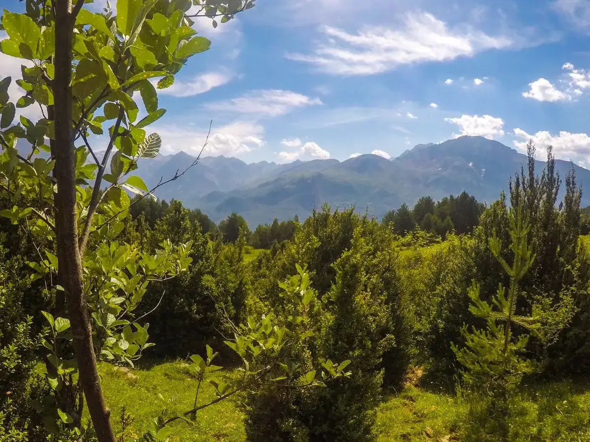Un paisaje monta&ntilde;oso con un cielo azul y nubes blancas. El **ib&oacute;n Piedrafita** se asoma entre la vegetaci&oacute;n verde y frondosa.