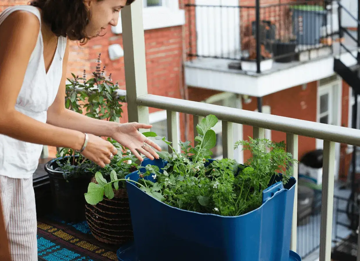 Mujer cuidando su huerto urbano en el balcón. Aprende como hacer un huerto urbano con estas plantas.