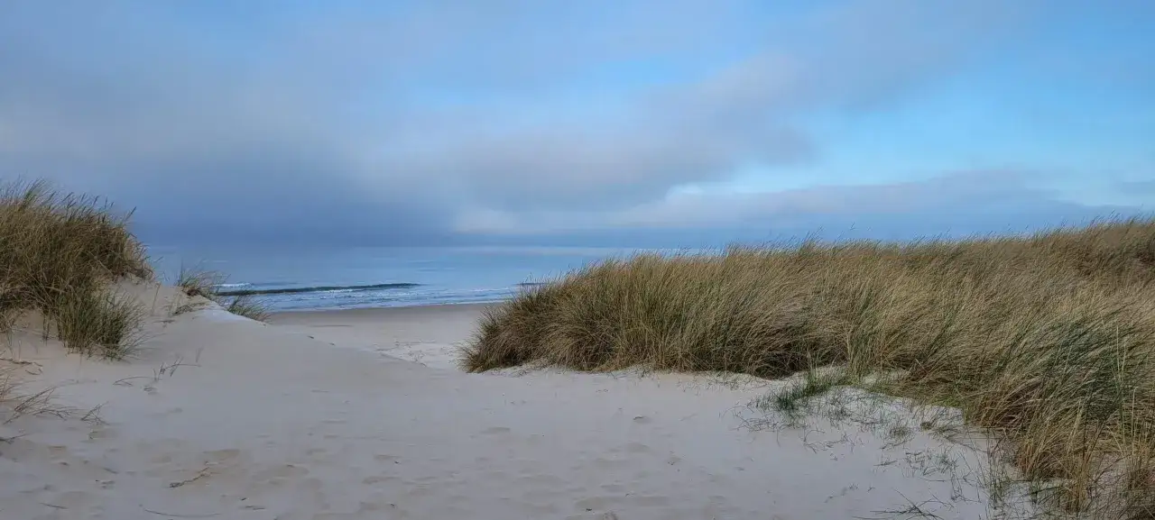Piaskowe wydmy porośnięte trawą, prowadzące do spokojnego morza. W oddali widać łagodne fale i błękitne niebo z chmurami. To idealne miejsce na spacer po plaży, gdzie można poczuć bliskość natury i odetchnąć świeżym morskim powietrzem.