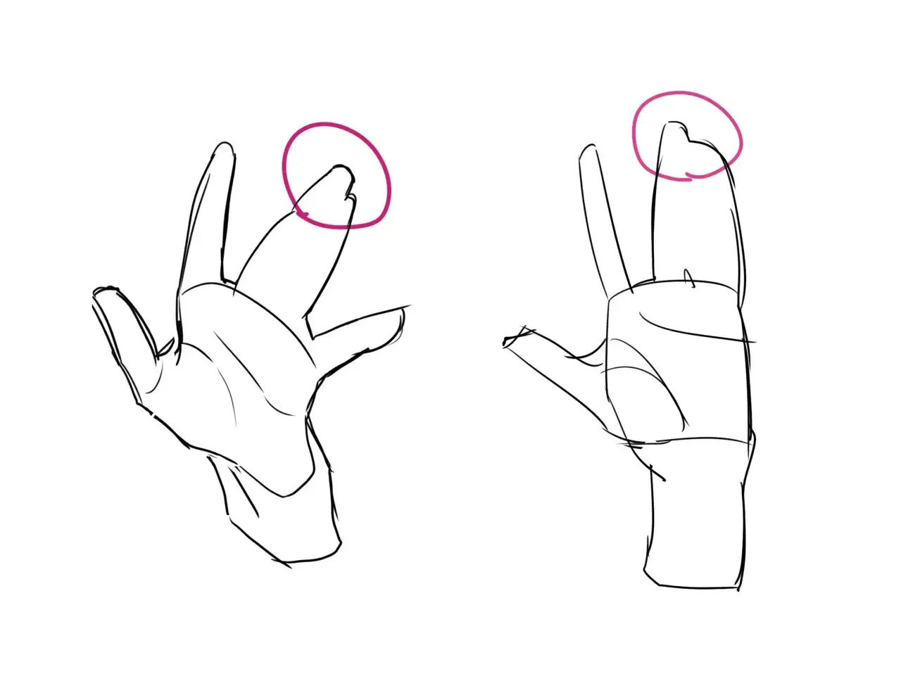 Croquis de mains, une personne en train de dessiner les doigts avec des cercles roses pour souligner les détails.