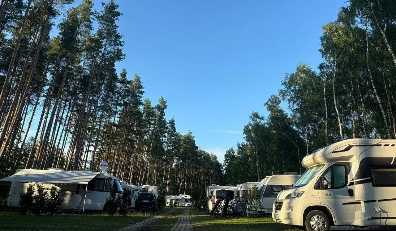 Słoneczny dzień na kempingu nad morzem. Kampery i przyczepy kempingowe stoją wśród drzew.