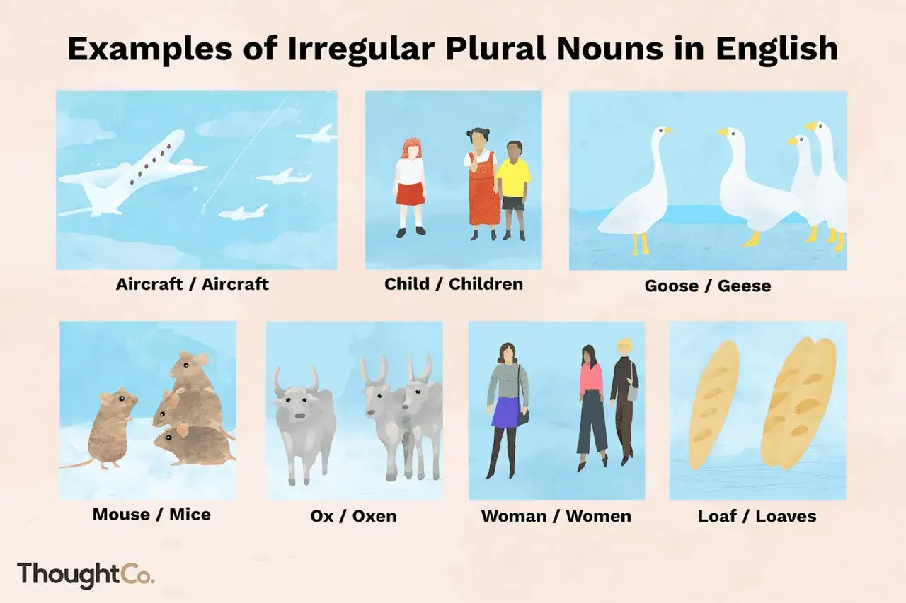 Ejemplos de plurales irregulares en ingl&eacute;s: aircraft, children, geese, mice, oxen, women, loaves.