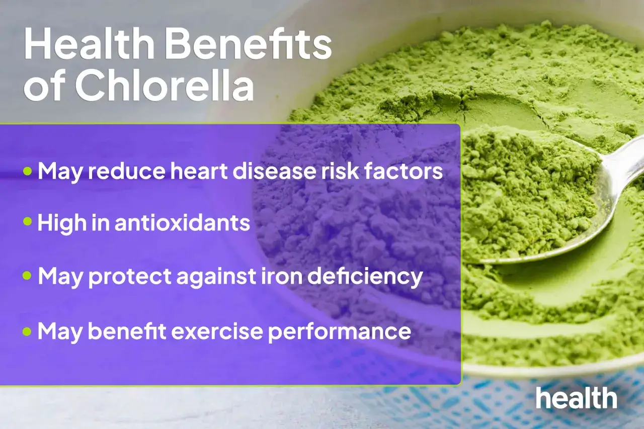 Chlorella tabletki na co pomaga? Zmniejsza ryzyko chorób serca, jest bogata w antyoksydanty, chroni przed anemią i poprawia wydolność.