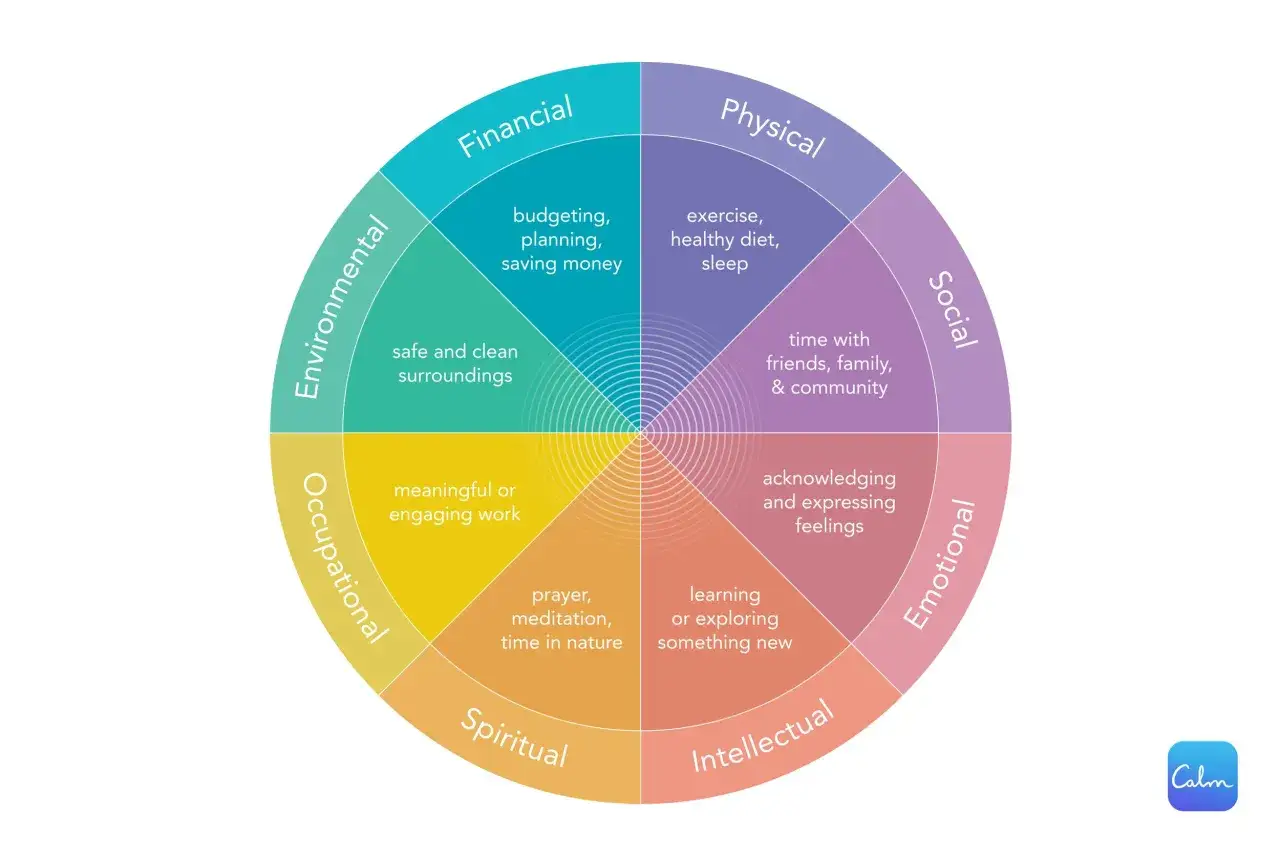 Cirkeldiagram som visar olika omr&aring;den f&ouml;r friskv&aring;rd: fysisk, social, emotionell, intellektuell, andlig, yrkesm&auml;ssig, milj&ouml;m&auml;ssig och finansiell.