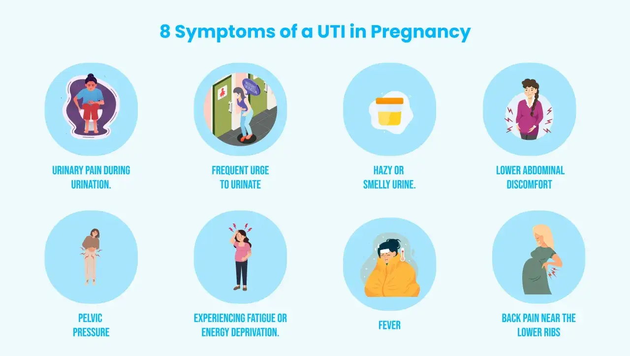 Illustration visar 8 symtom p&aring; uvi gravid, inklusive sm&auml;rta vid urinering, frekventa toalettbes&ouml;k, grumlig urin, magsm&auml;rta, b&auml;ckentryck, tr&ouml;tthet, feber och ryggsm&auml;rta.