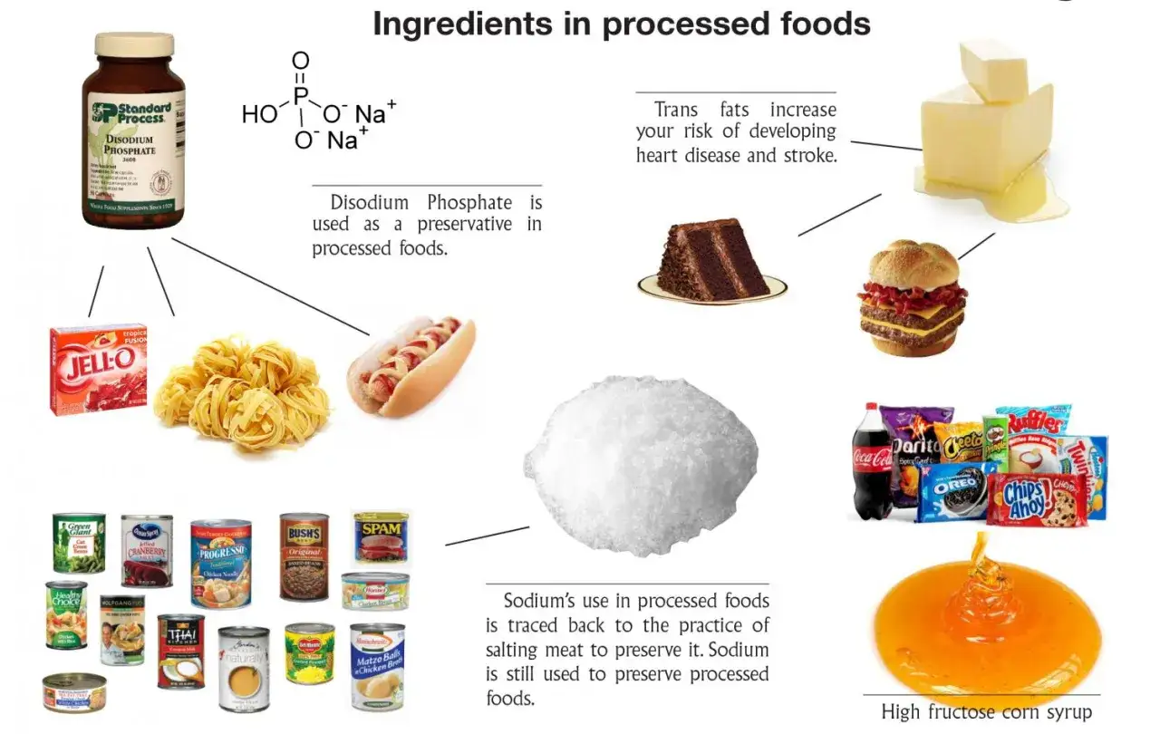 Ejemplos de alimentos procesados: Jell-O, fideos, hot dog, SPAM, hamburguesa, pastel, papas fritas, galletas, refrescos, mantequilla, jarabe de maíz.