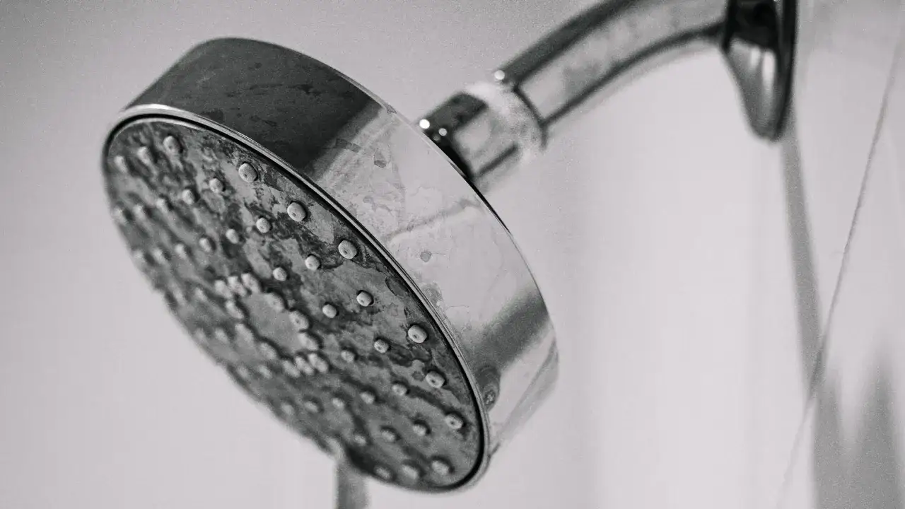 Detalles de una alcachofa de ducha con cal. Aprende cómo quitar la cal de la alcachofa de la ducha para un mejor flujo de agua.