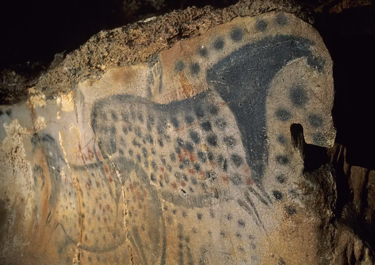 Peintures rupestres des grottes du Pech Merle : un cheval noir tachet&eacute; de points noirs et rouges, aux allures de bison, sur fond ocre.