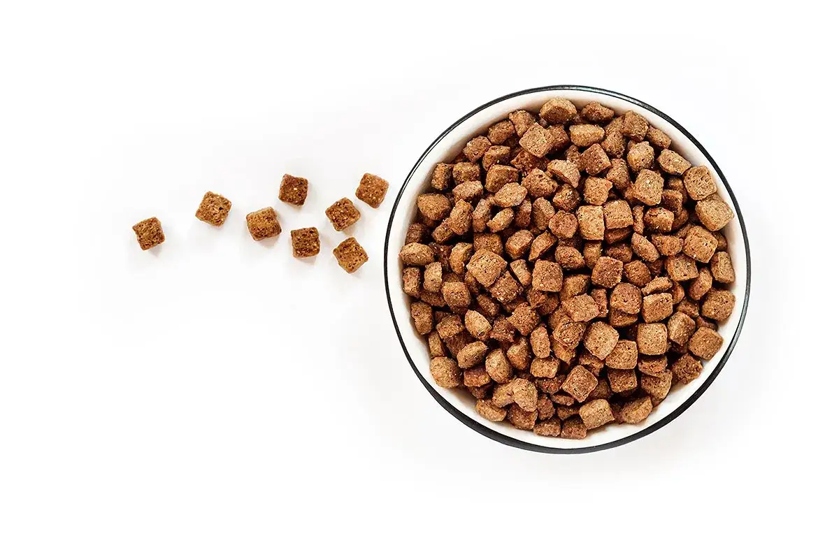 Un cuenco lleno de pienso para perros, con algunas croquetas esparcidas. &iquest;Qui&eacute;n fabrica el pienso Nath?