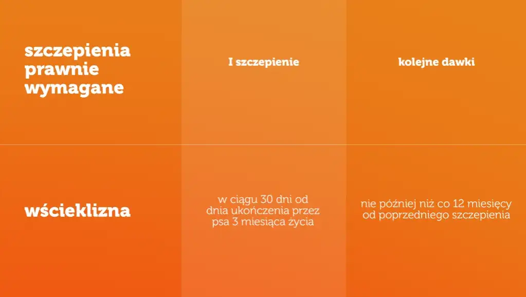 Zdjęcie Jakie szczepienia dla psa są obowiązkowe i zalecane dla zdrowia?