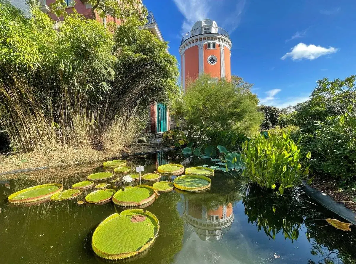 Ein Teich mit Seerosen und ein orangeroter Turm spiegeln sich im Wasser. Ein sch&ouml;nes Motiv f&uuml;r Ausflugsziele Wuppertal.