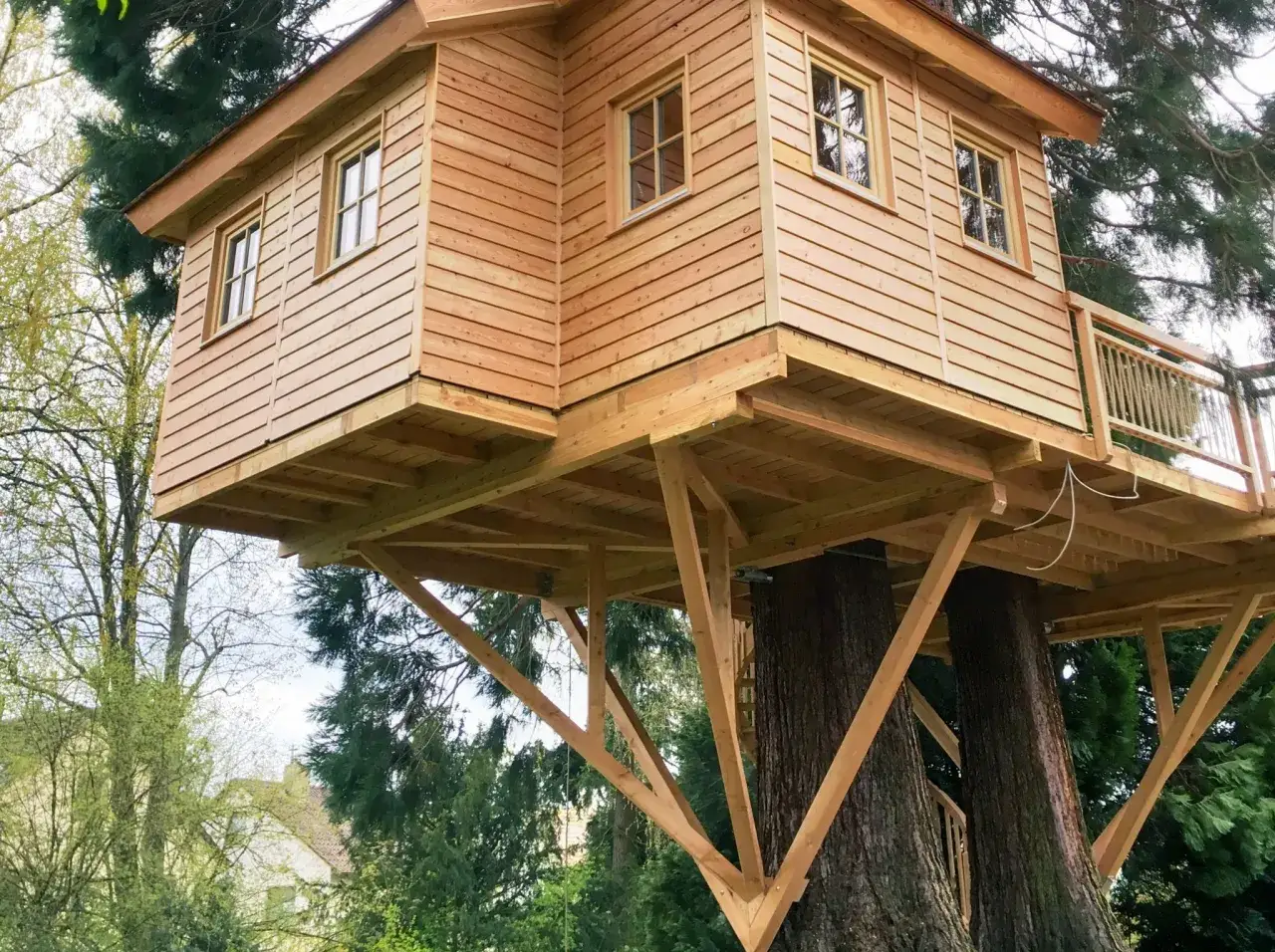Ein wundersch&ouml;nes Baumhaus, das auf zwei alten B&auml;umen gebaut wurde. Die Holzkonstruktion ist solide und mit Fenstern versehen.