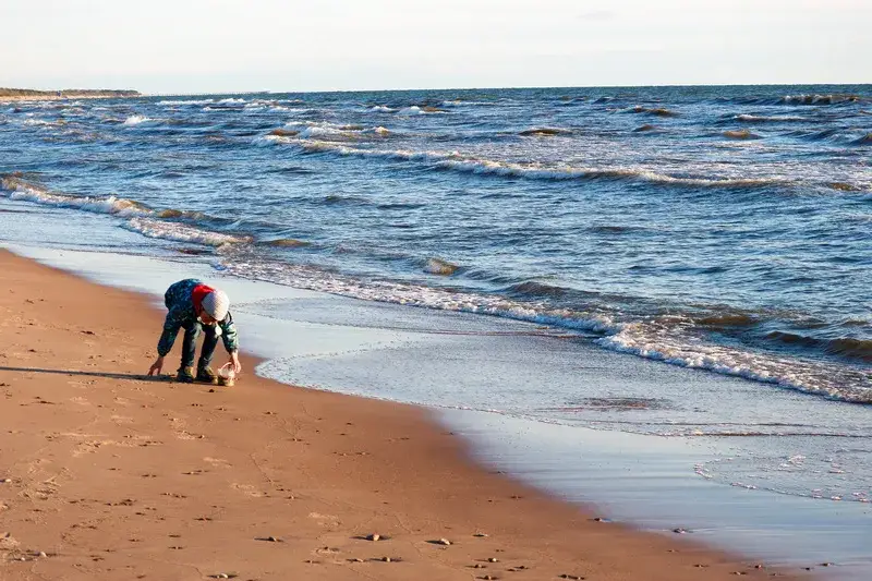 Rodzina na plaży Kąty Rybackie szukająca bursztynu