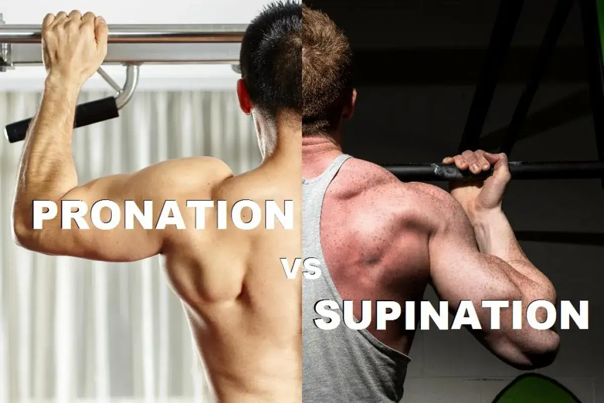 Comparaison des tractions en pronation et supination. L'image montre deux hommes effectuant des tractions, l'un en pronation, l'autre en supination.