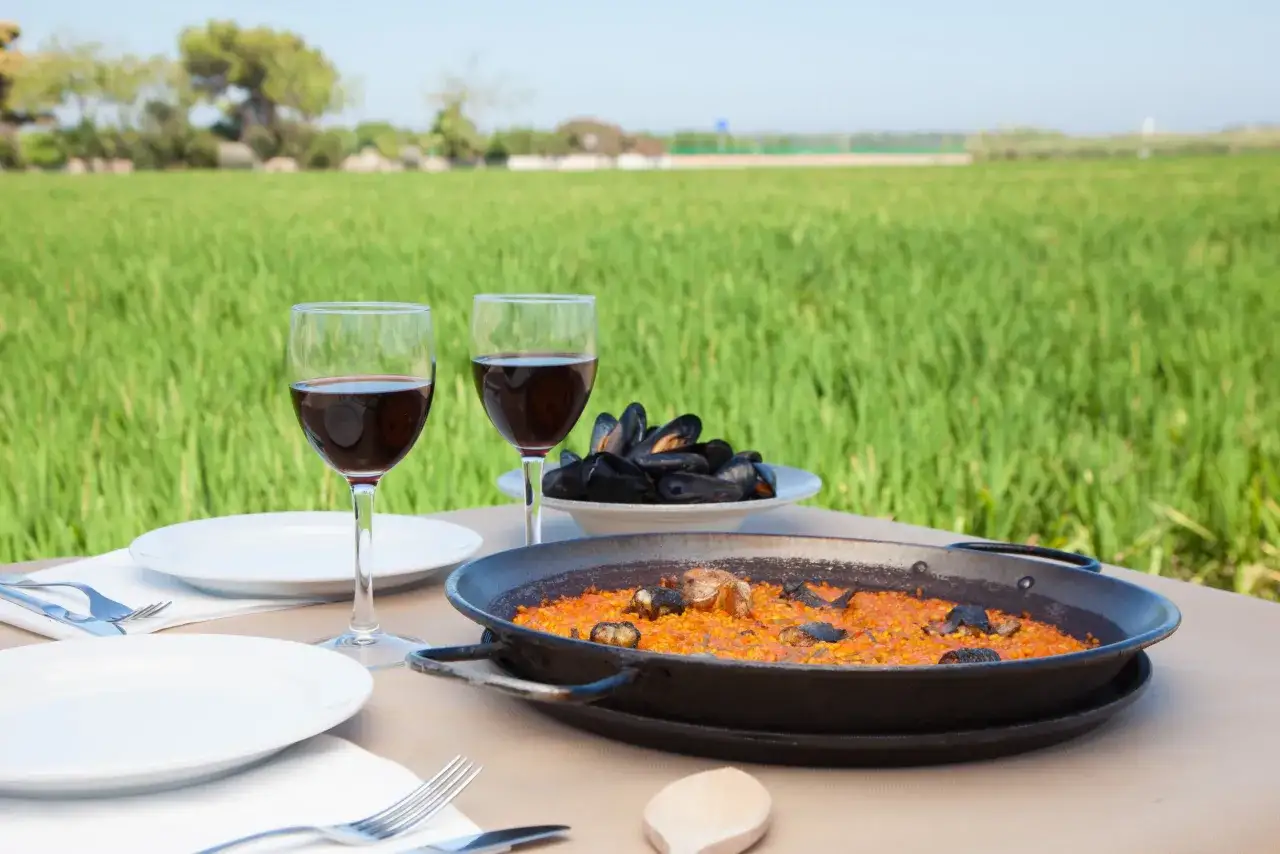 Paella und Muscheln auf einem Tisch im Freien, mit Blick auf ein grünes Feld. Ein perfektes Essen in den Restaurants von Valencia.