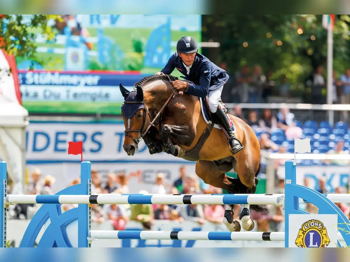 Un cavalier et son cheval, tel un joker d'Euskadi, franchissent un obstacle bleu et blanc lors d'une comp&eacute;tition d'&eacute;quitation.
