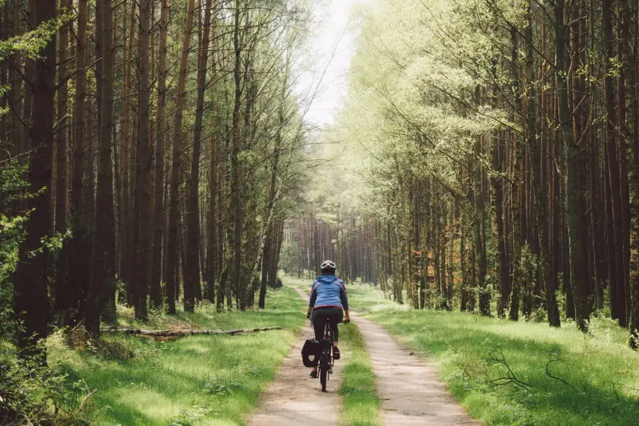 Rowerzystka w lesie, droga przez drzewa. Piękna trasa rowerowa w okolicach Poznania, Wielkopolska.