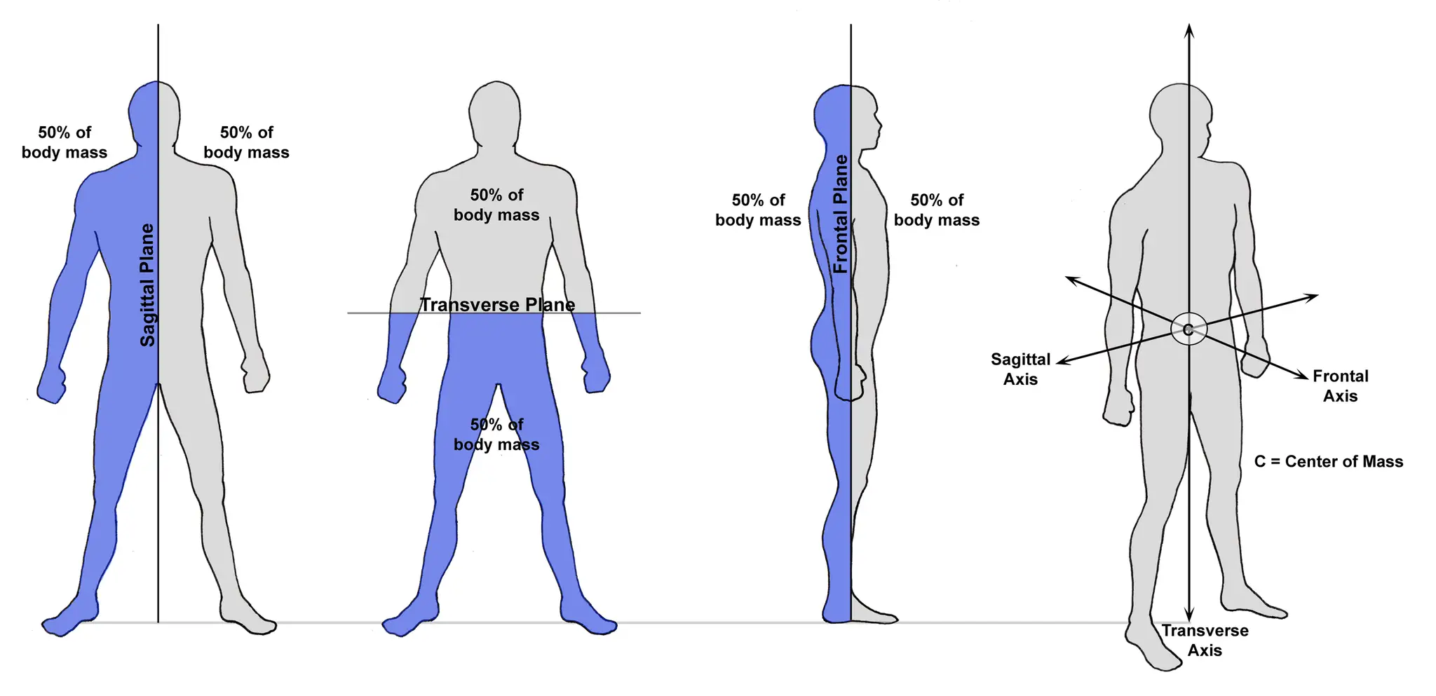 Anatomische Ebenen und Achsen zur Beschreibung von Bewegungsrichtungen. Sagittal-, Frontal- und Transversalebene teilen den Körper.