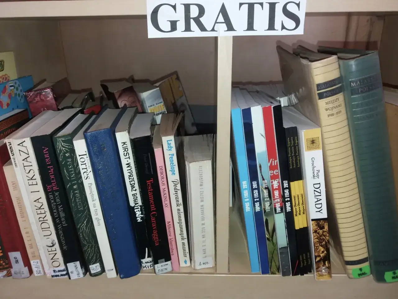 Książki na półce, część z nich z napisem