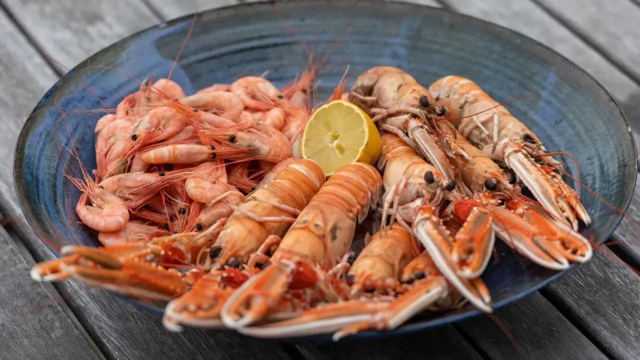 Plato azul con camarones y cigalas, un marisco fresco listo para disfrutar, acompañado de una rodaja de limón.
