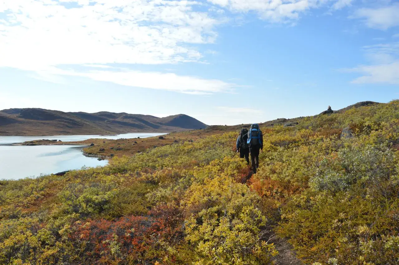 Zwei Wanderer mit Rucks&auml;cken auf dem arctic circle trail, umgeben von herbstlich gef&auml;rbter Tundra und einem See.