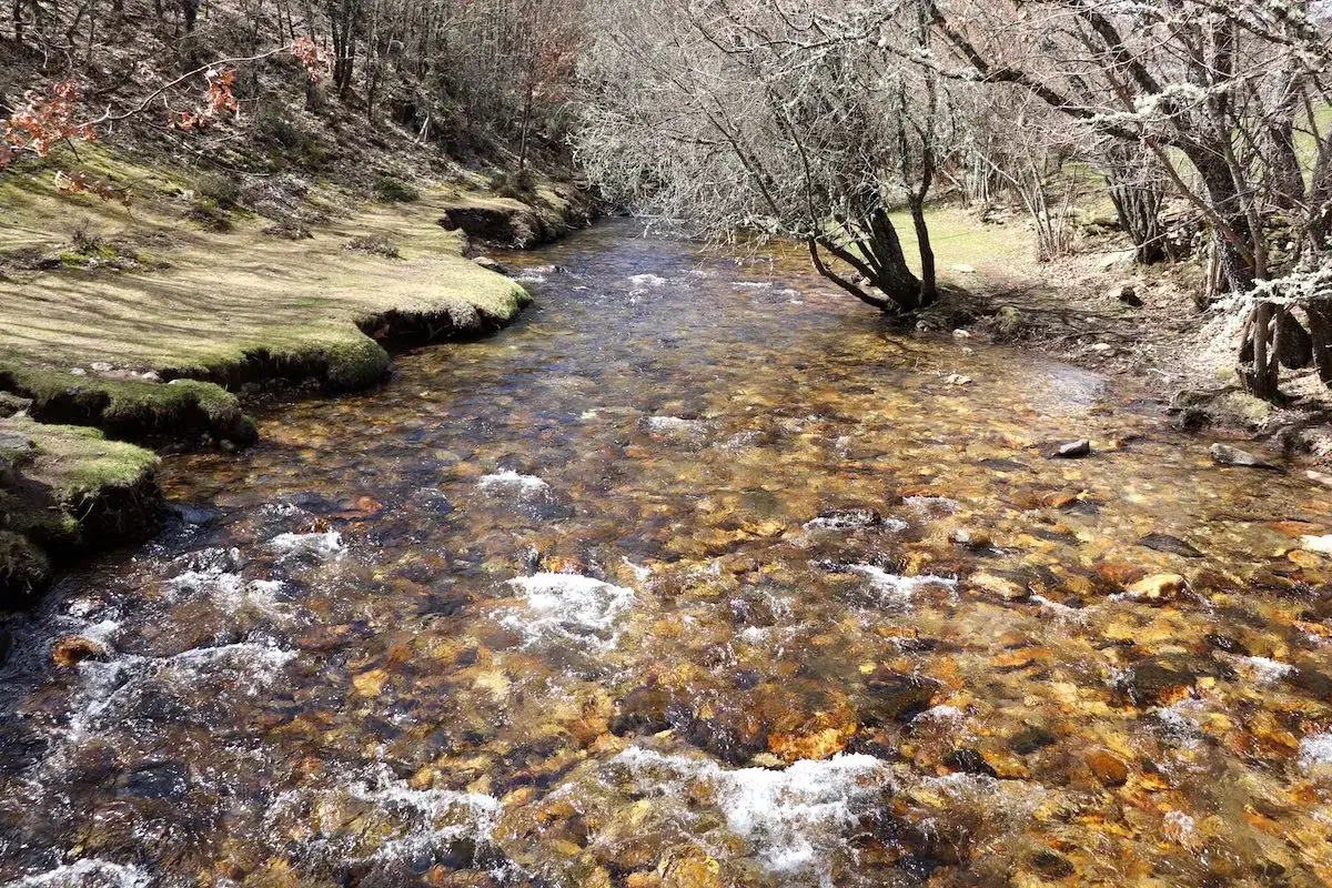 Arroyo cristalino con piedras de colores, rodeado de vegetaci&oacute;n y &aacute;rboles desnudos, evocando la paz del molino de la hiruela.