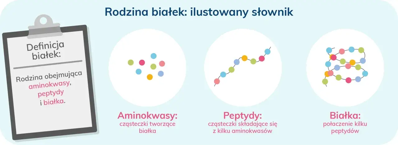Ilustracja wyjaśnia, co to aminokwasy &ndash; podstawowe cegiełki budujące peptydy i białka. Pokazuje ich grupowanie, łańcuchy i złożone struktury.