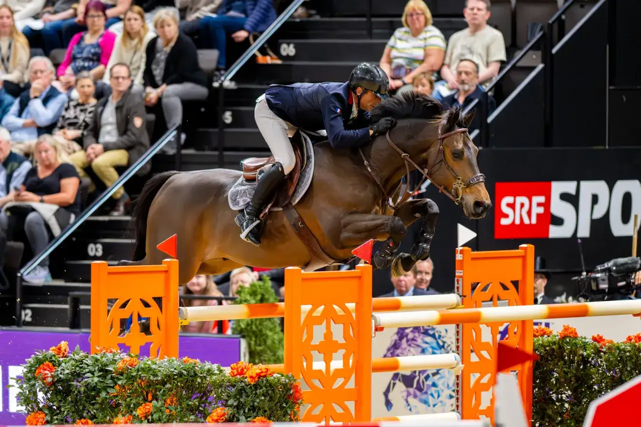 Un cavalier et son cheval, un magnifique donatello d'auge, franchissent un obstacle. Le public applaudit dans les gradins.