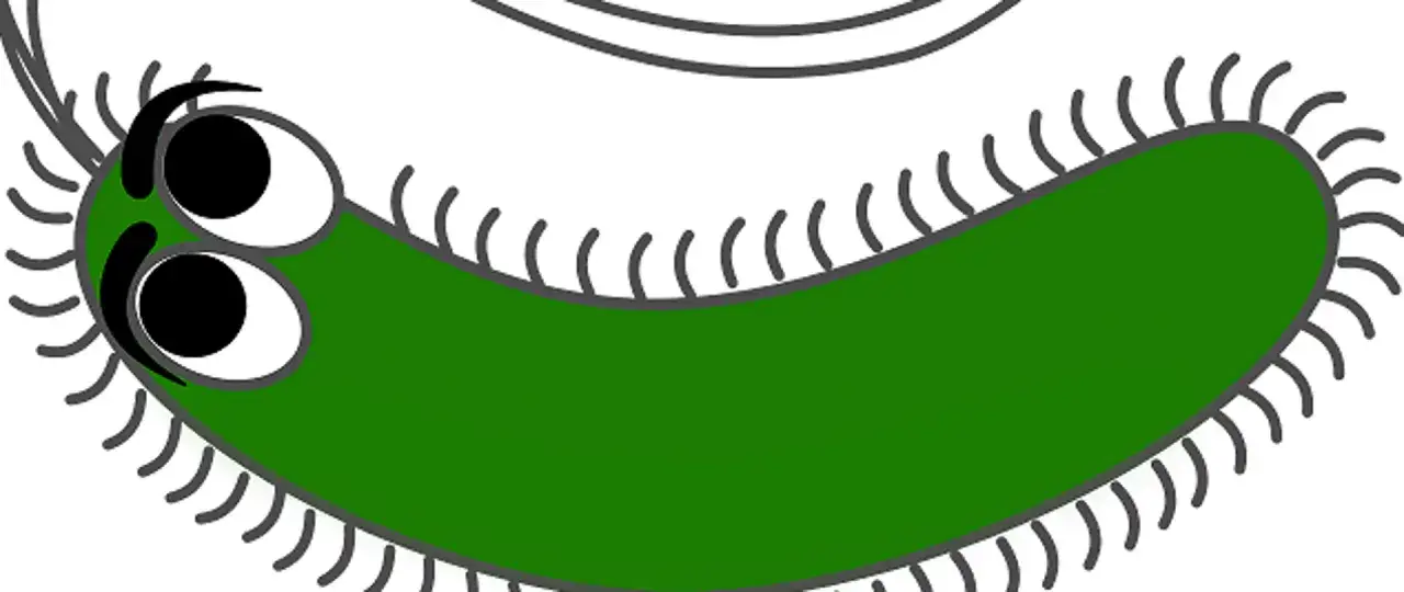 ilustracje najczęstszych pasożytów u dzieci