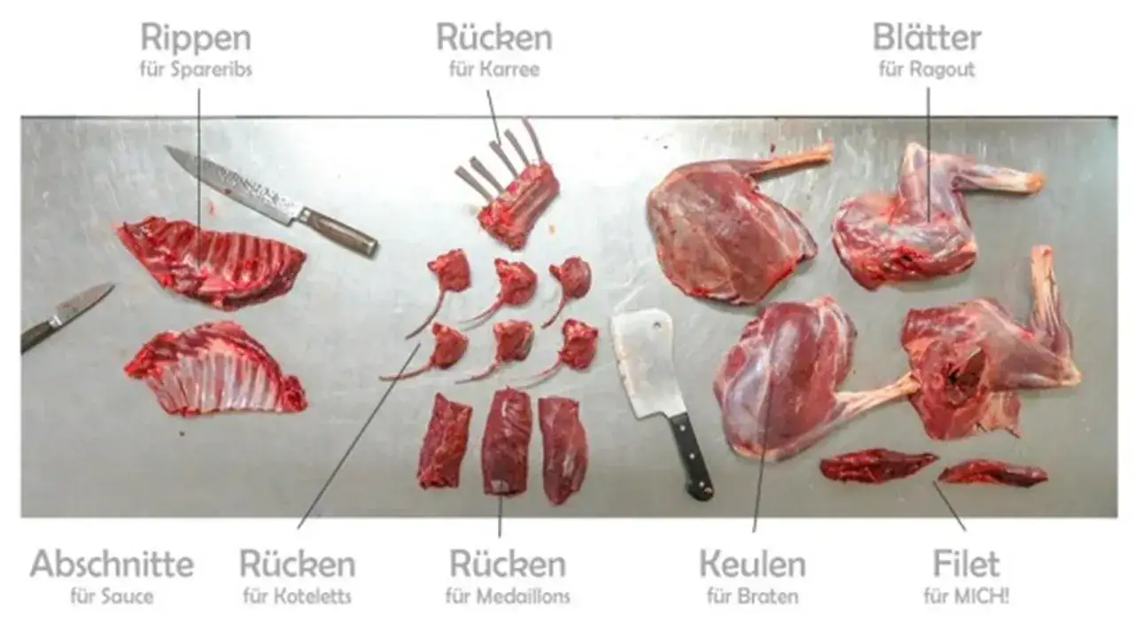 Zerlegtes Reh: Rippen für Spareribs, Rücken für Karree, Keulen für Braten und Blätter für Ragout. Welches Fleisch eignet sich am besten für ein herzhaftes Rehragout? Die Blätter!